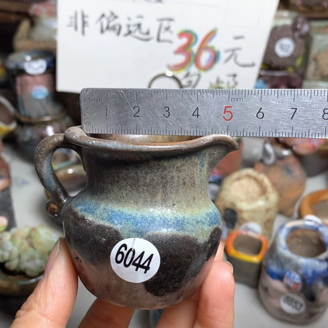 花盆拍5送一个小礼物