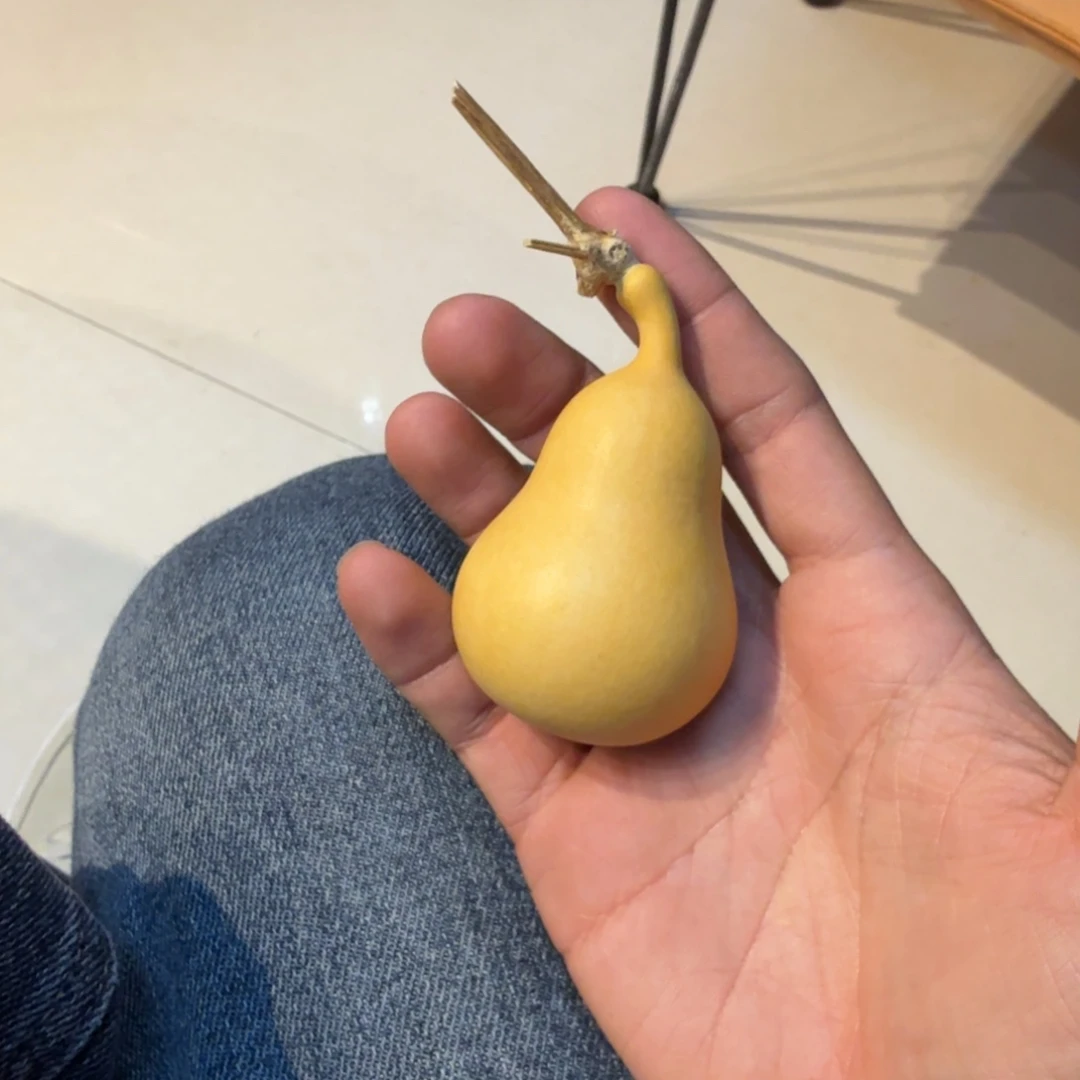 车***车葫芦山风景秀丽宜人且风光