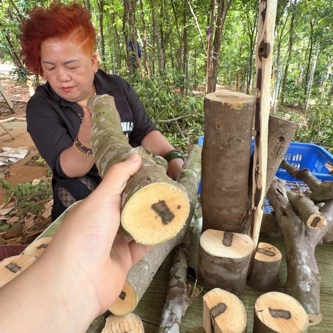 线香奇楠沉香原木