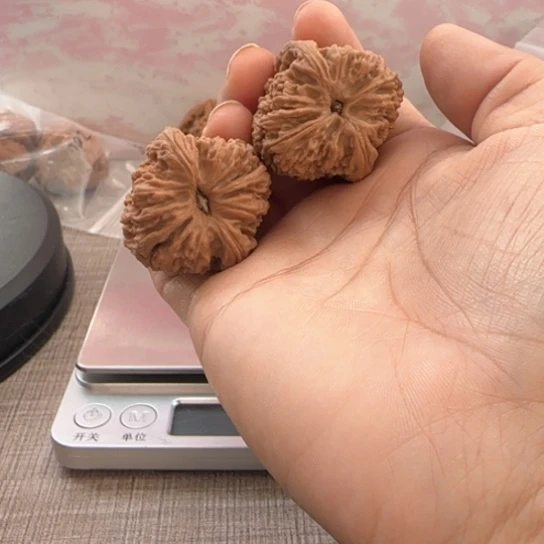 桃核吊坠尚**玩核桃核桃