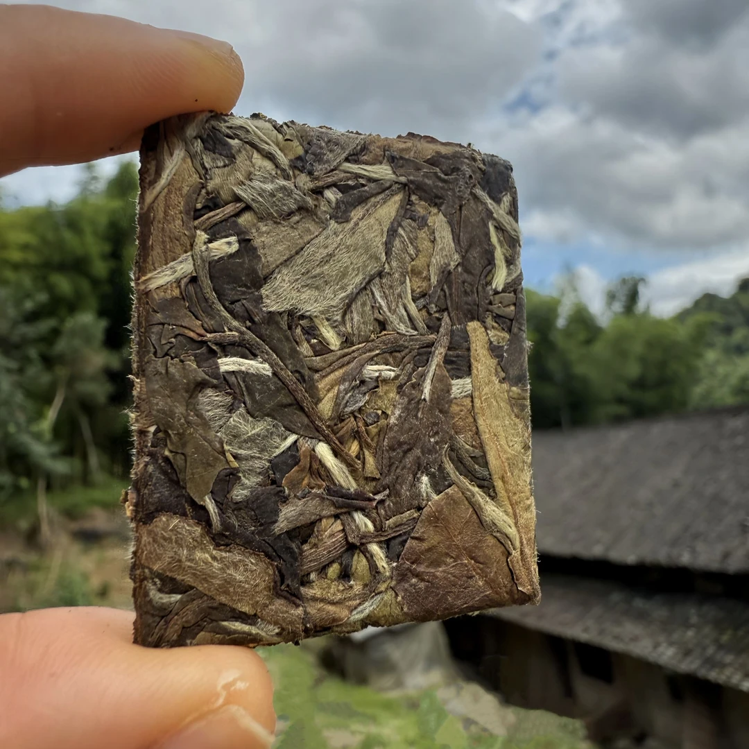 牡丹茶小方片2024年牡丹小方片福鼎磻溪白茶【三级牡丹原料压制】