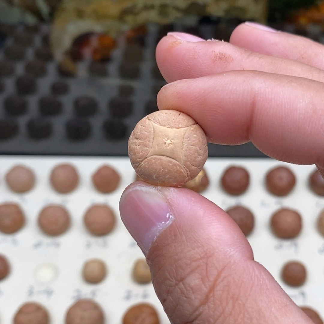 雨***同凤眼菩提吊坠麒麟