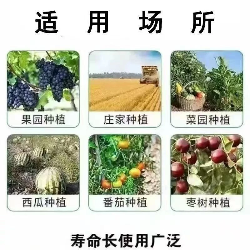 6.0指果园防护网北京丝加强防风 也尤