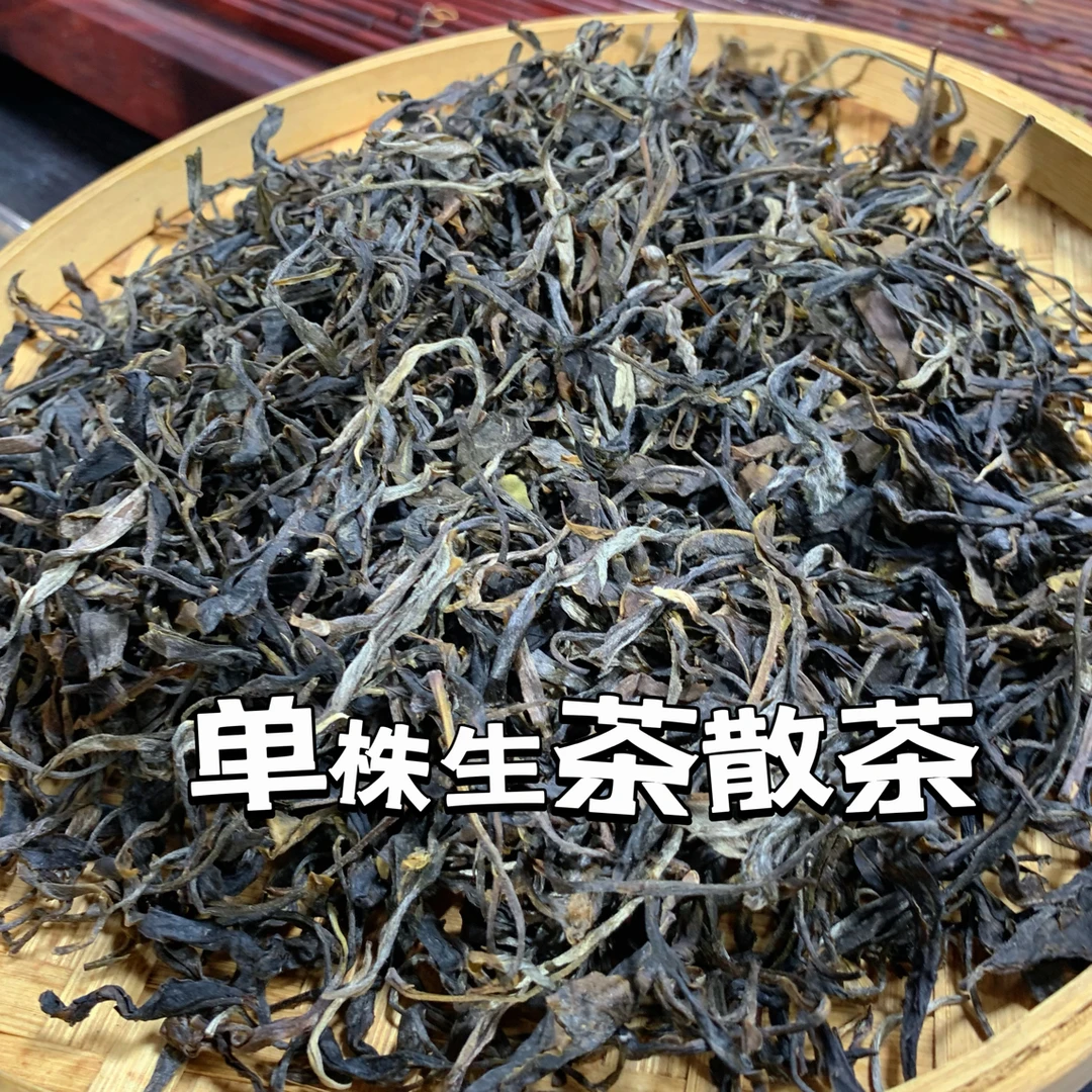 2022年古树单株生茶散茶