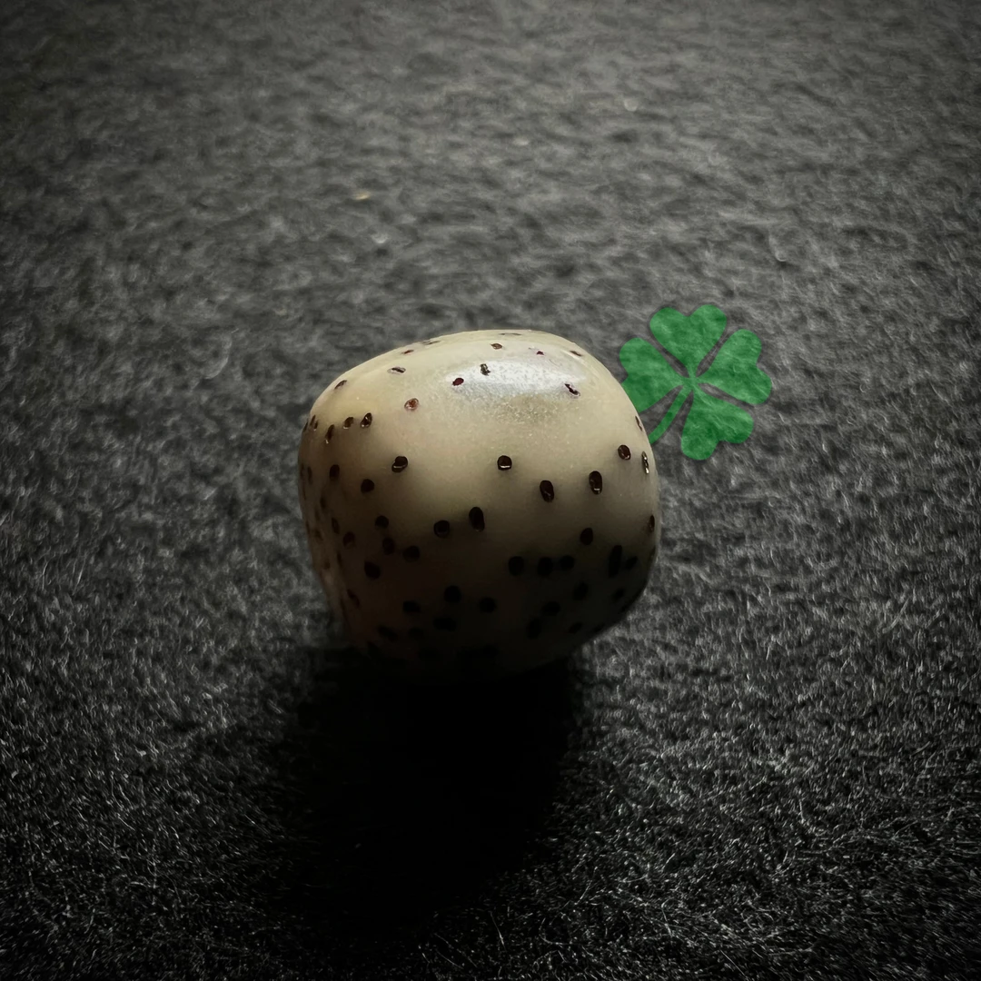 A3定制款直播间款星月菩提不凡多样性发货文玩好物念珠