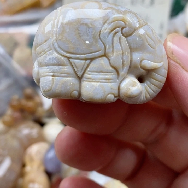 硅化珊瑚（珊瑚玉）未镶嵌颈饰