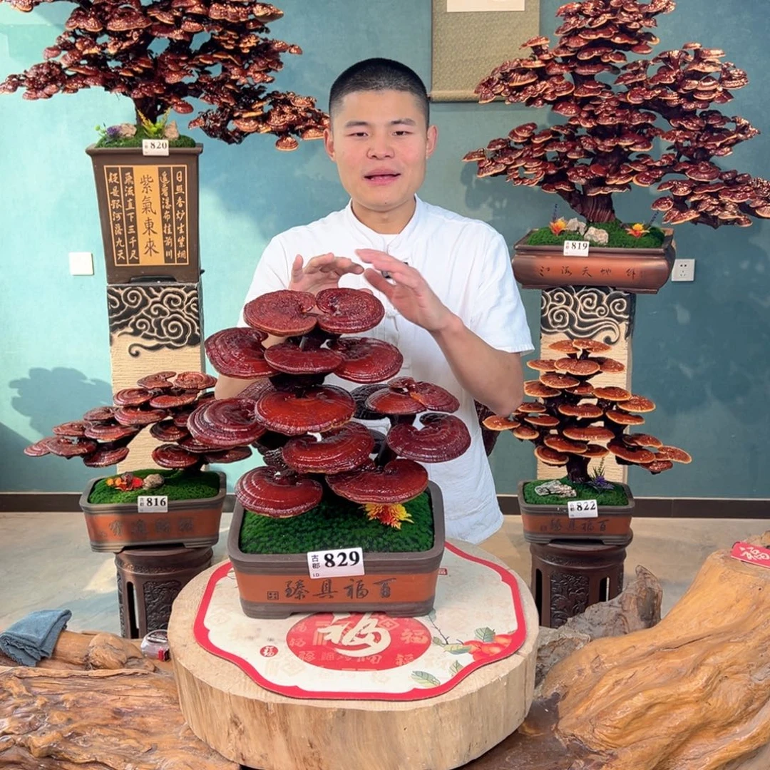 无花朵88888899888