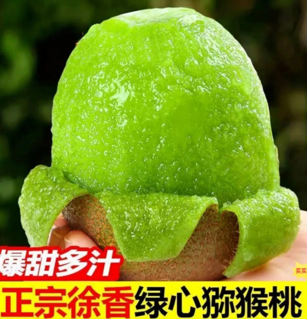 湘西高山露天种植徐香绿心猕猴桃应季新鲜现摘果香浓郁汁水清甜
