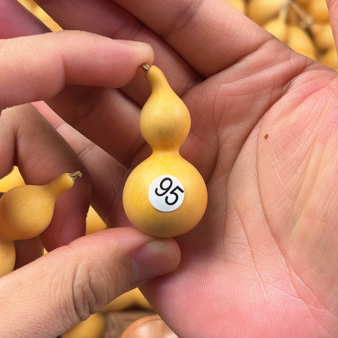 五葫芦葫芦葫芦葫芦 95