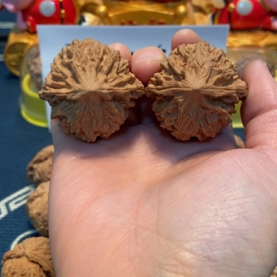 文玩核桃把件九龙筋40