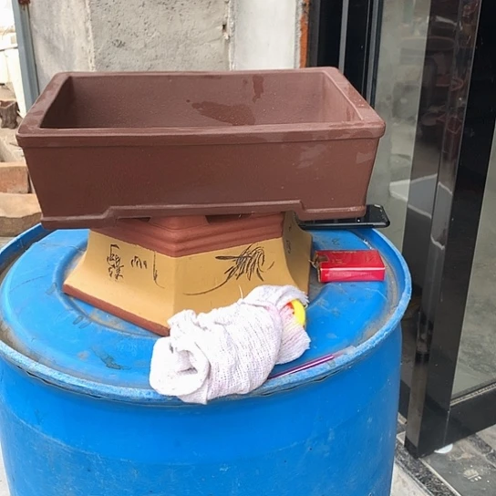 紫砂花盆我的花盆