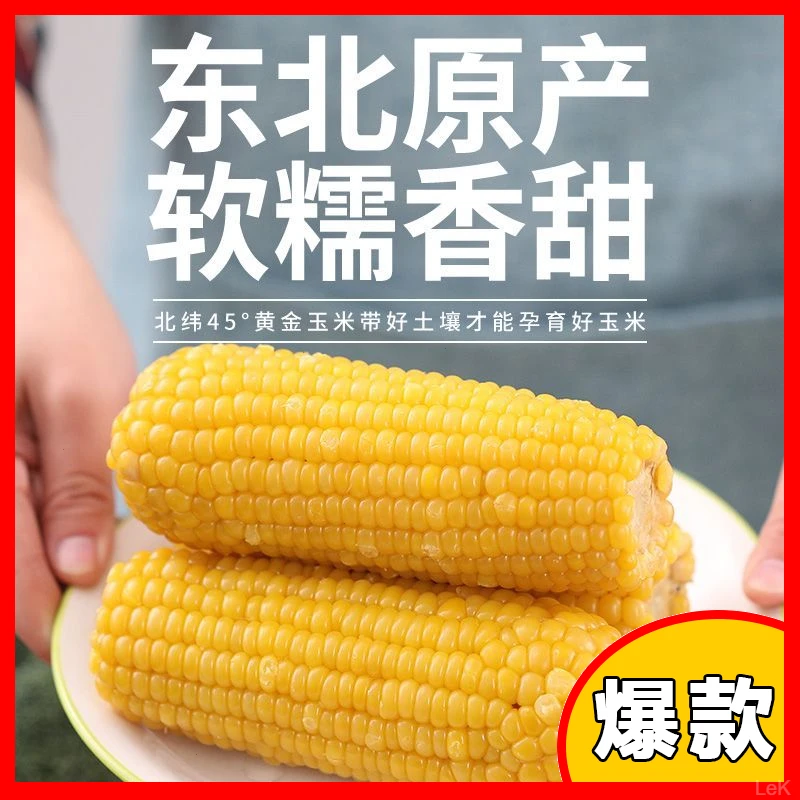 【25年头茬玉米棒5-6斤】黄金糯玉米10根单根220克以上（试吃2根）