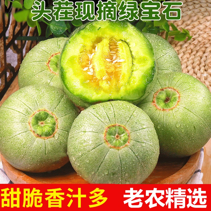 A【香甜多汁 绿宝石甜瓜】山东头茬绿宝甜瓜新鲜水果脆甜3斤5斤