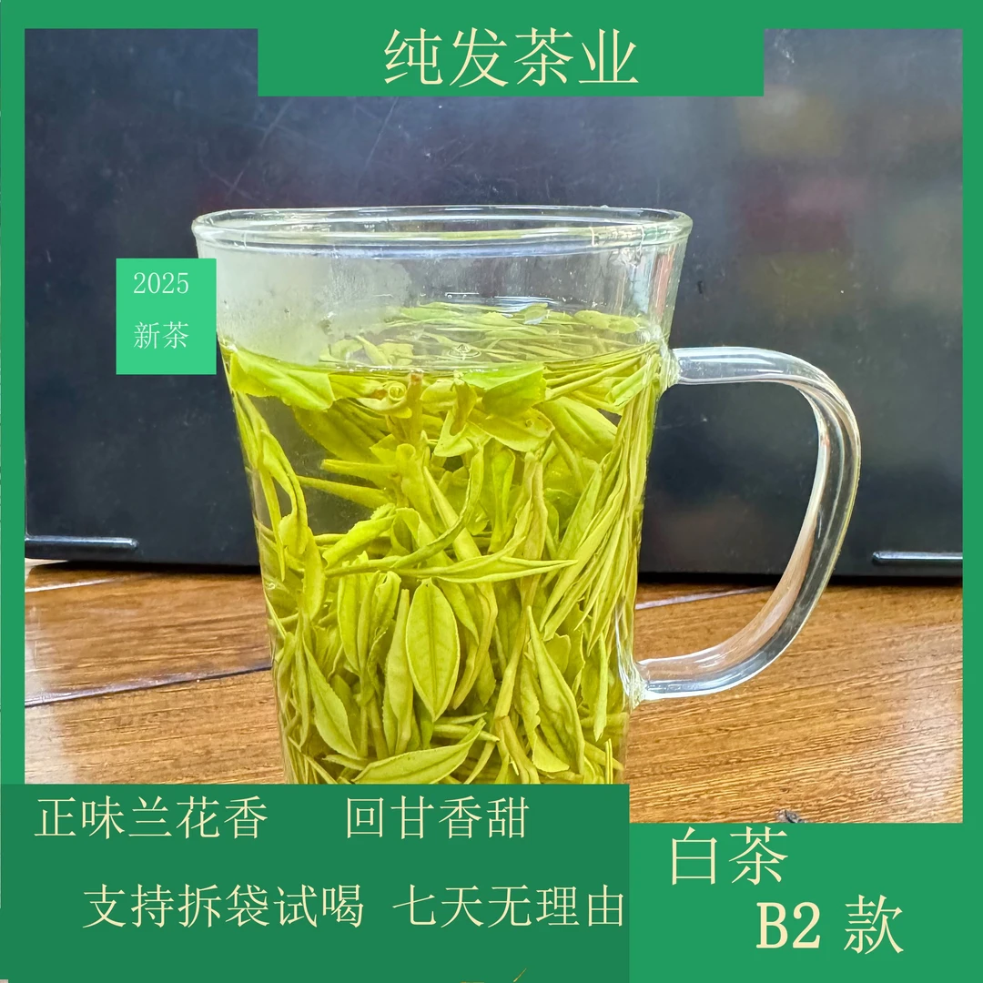 2025年新茶【口粮】B2白茶