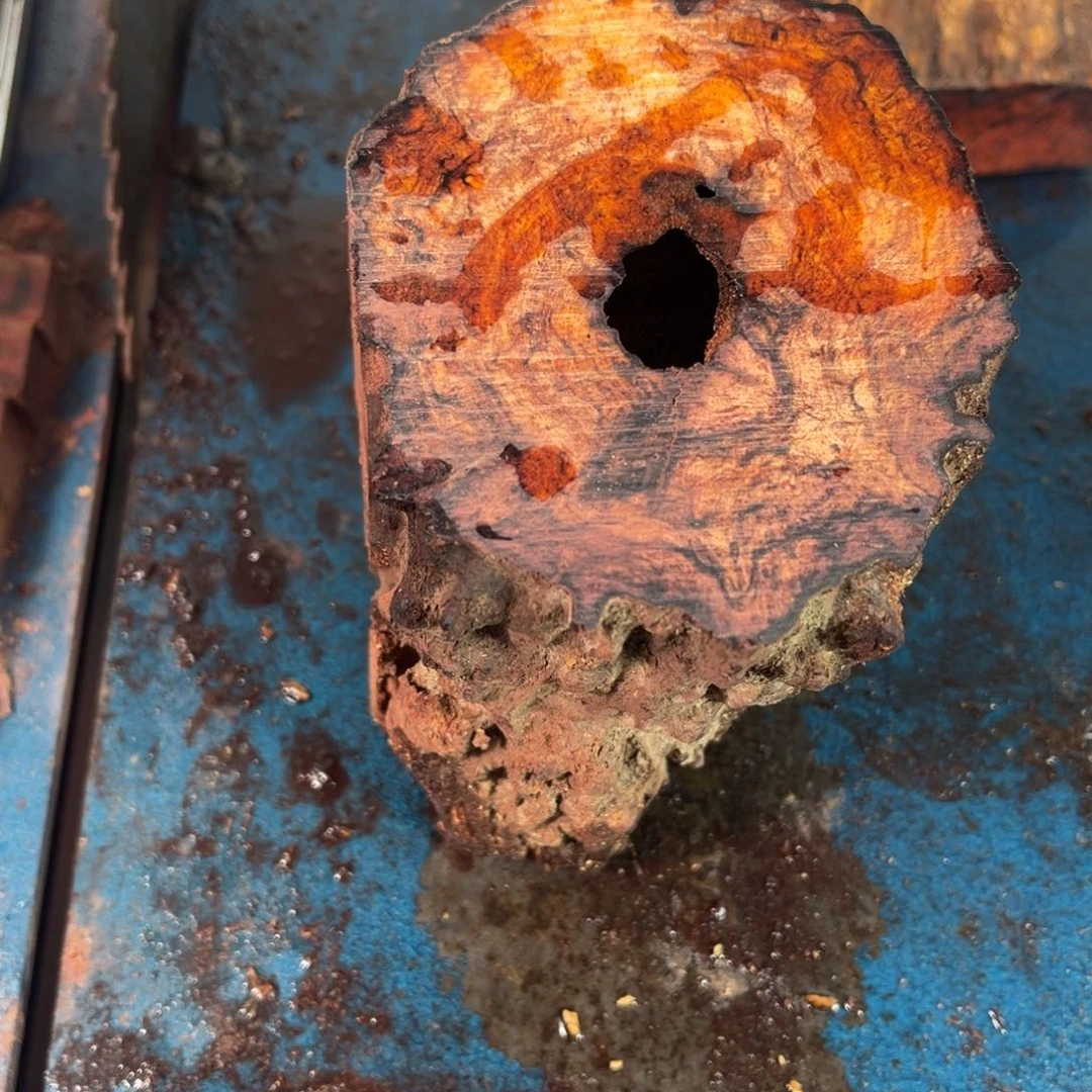 木执*✔888888888888888