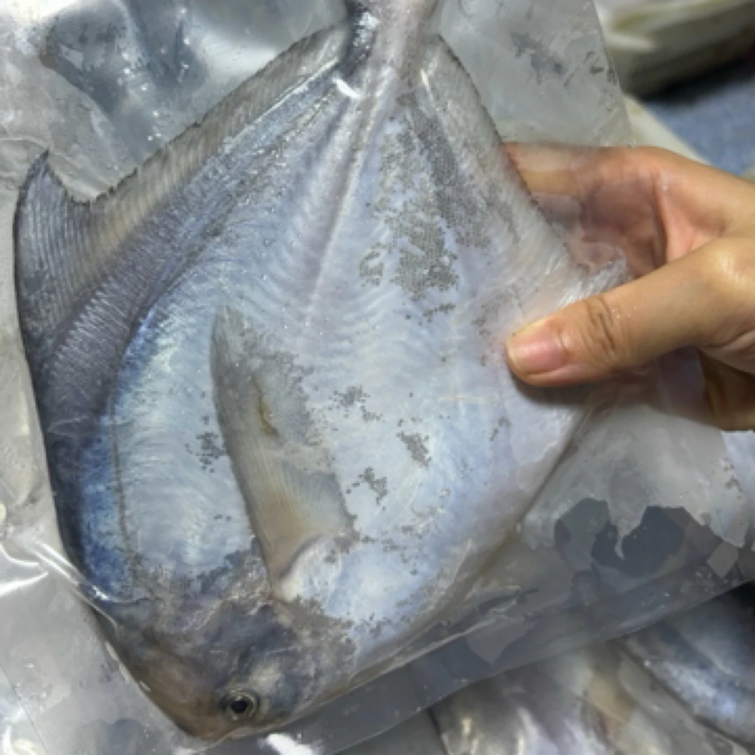 （冷冻）青岛本地高品质银鲳鱼7两-1斤    规格自选     包邮顺丰