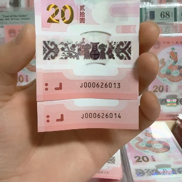 塑料小蛇钞号码000626013-14