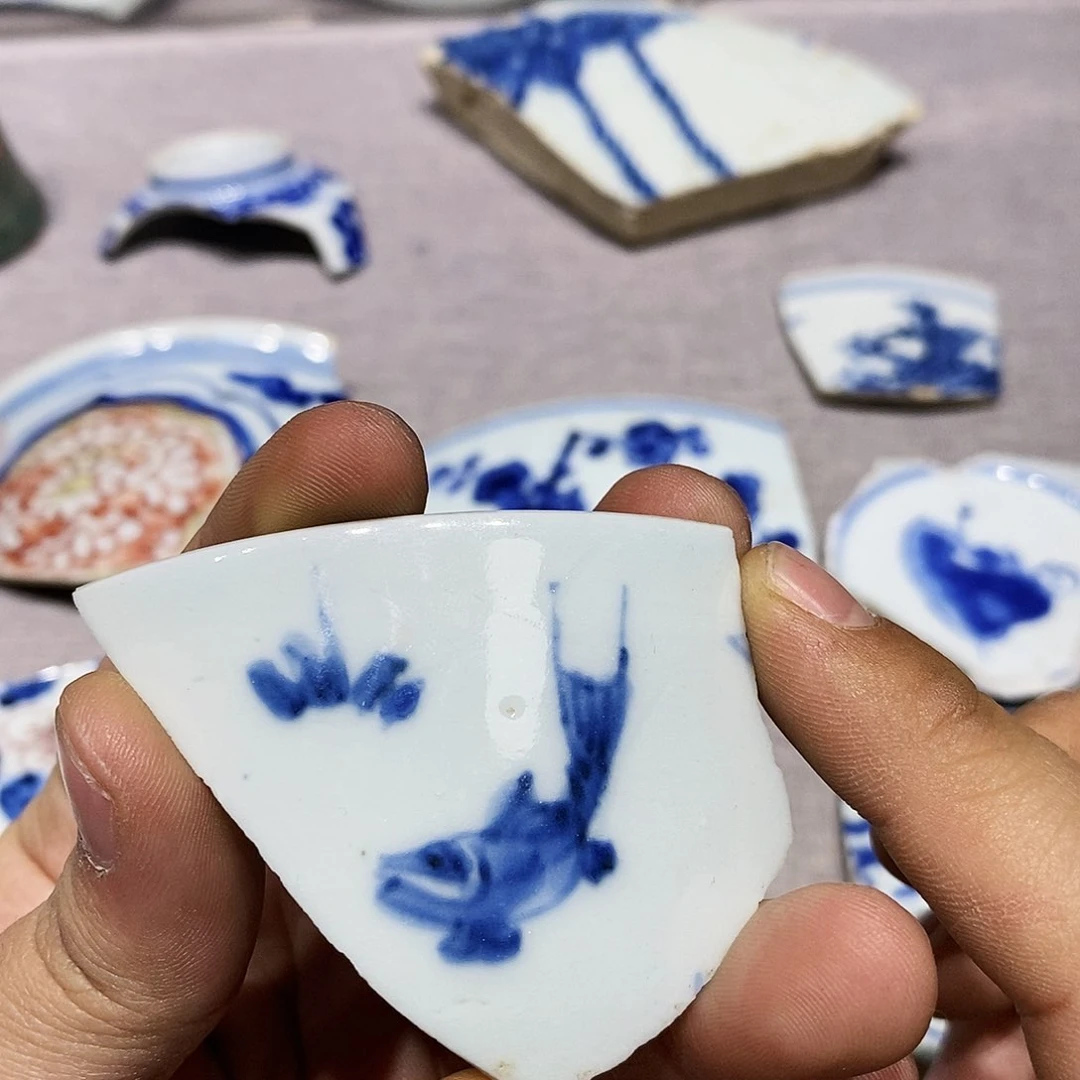 金铜精品瓷片标本