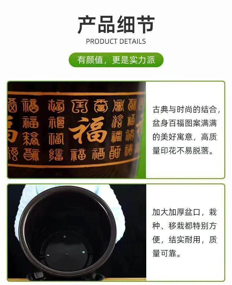 【招财纳福】百福✨口径19高15，透气不烂根！，养多肉绿植首选！赠托盘→