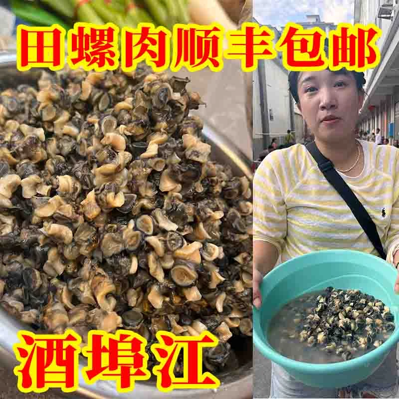 湖南特产酒埠江新鲜田螺顺丰包邮