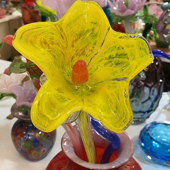 夜光花高45厘米宽10厘米