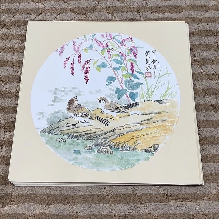 国画花鸟的翅膀和翅膀38.38