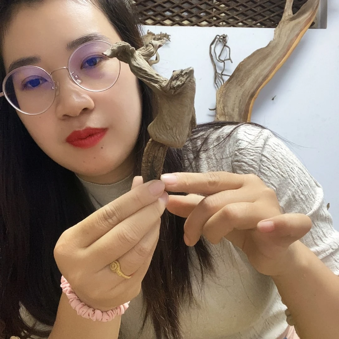 用***0香榧木今天晚上吃什么好吃的东西