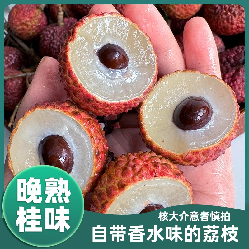 【冷链速运】正宗桂味荔枝新鲜现摘老树荔枝