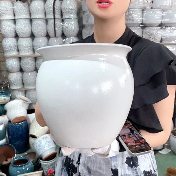 红陶正品高24/24