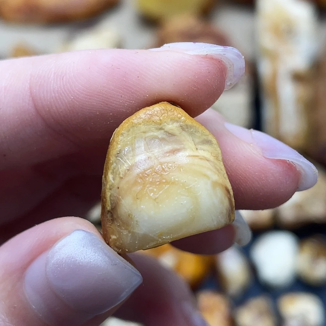 定制琥珀未镶嵌定制