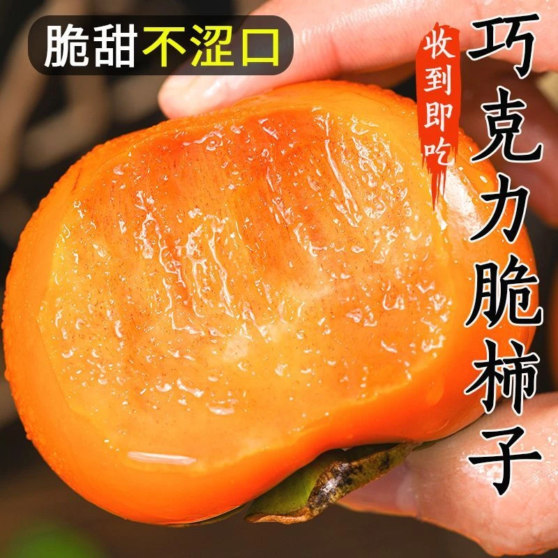 【现货】巧克力脆柿子新鲜水果当季甜硬柿子阳丰脆甜柿子整箱包邮山西省