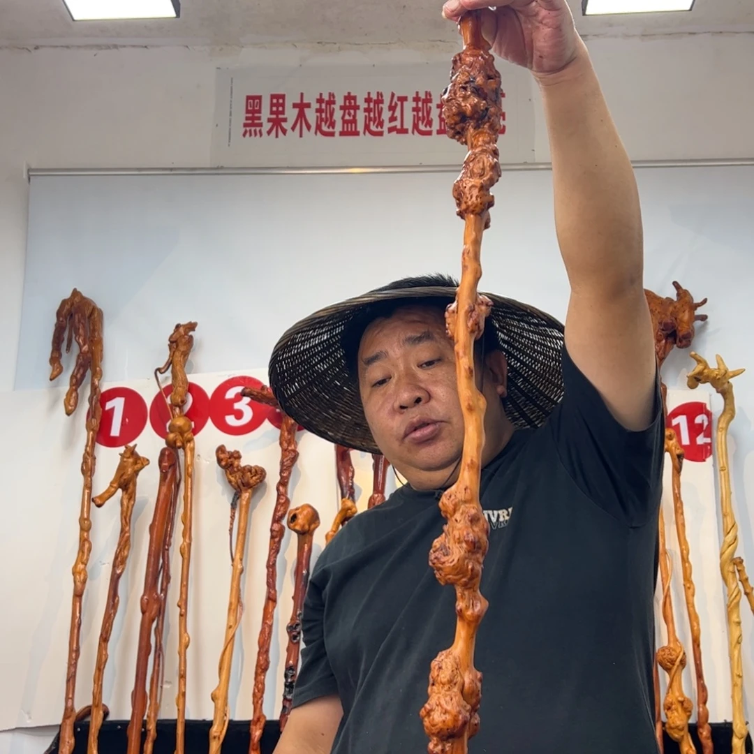 快***活黑果木其他黑果木134