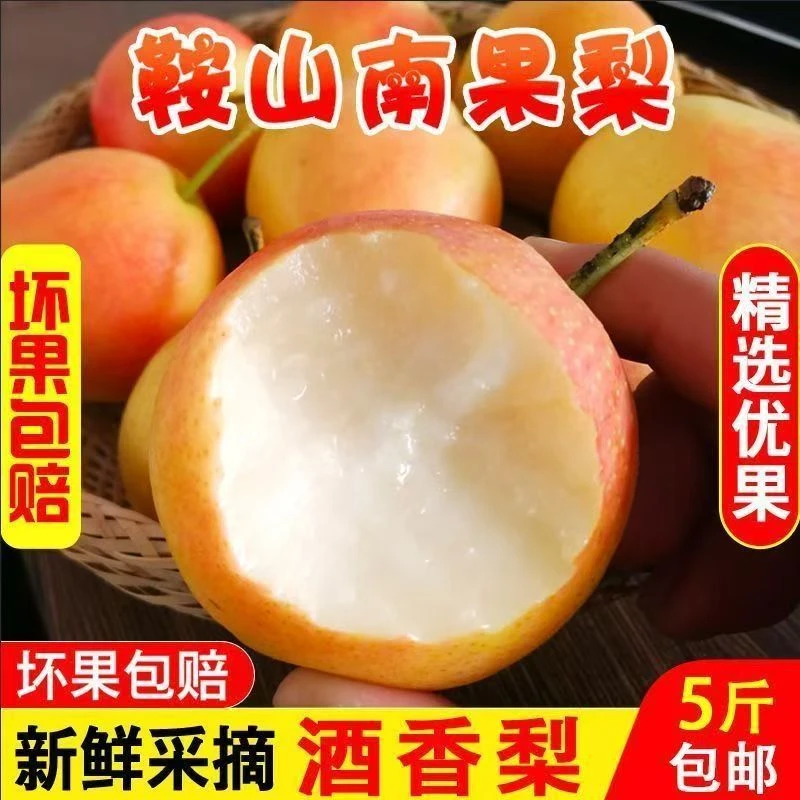 东北特产鞍山南果梨新鲜果子产地直发家庭实惠装