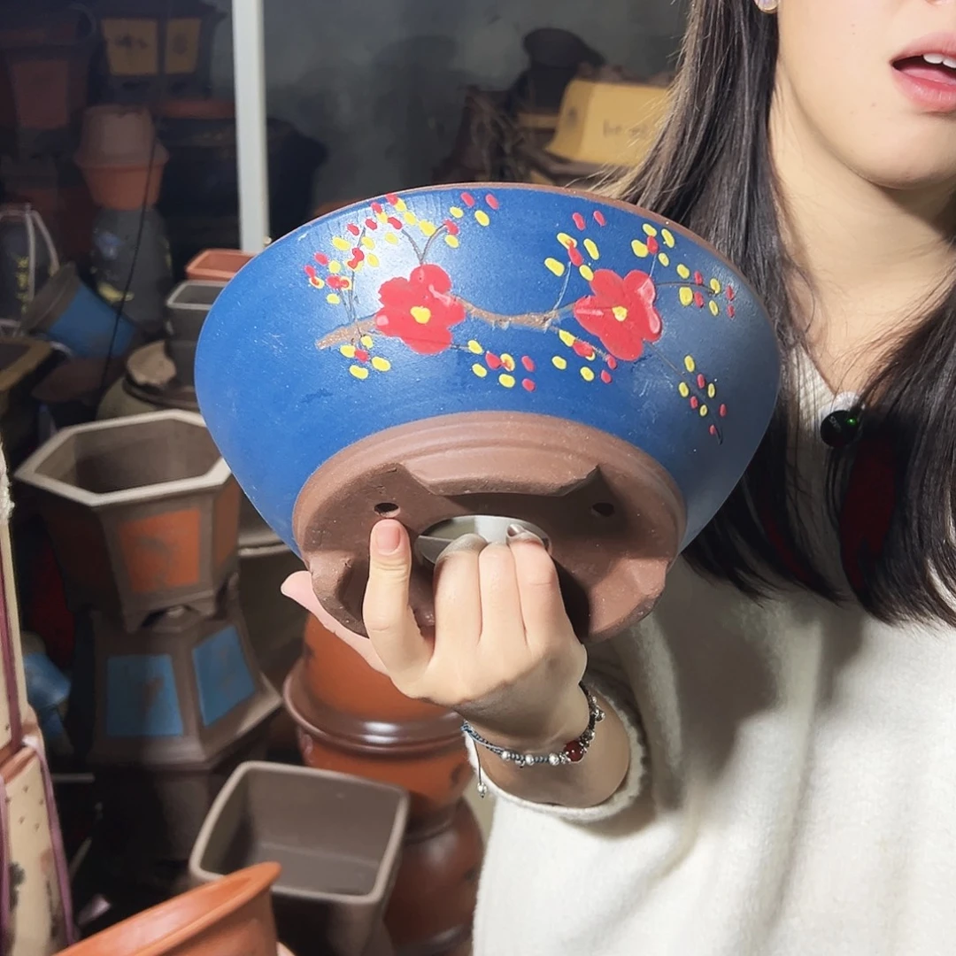 蓝斗盆点菜中号一个