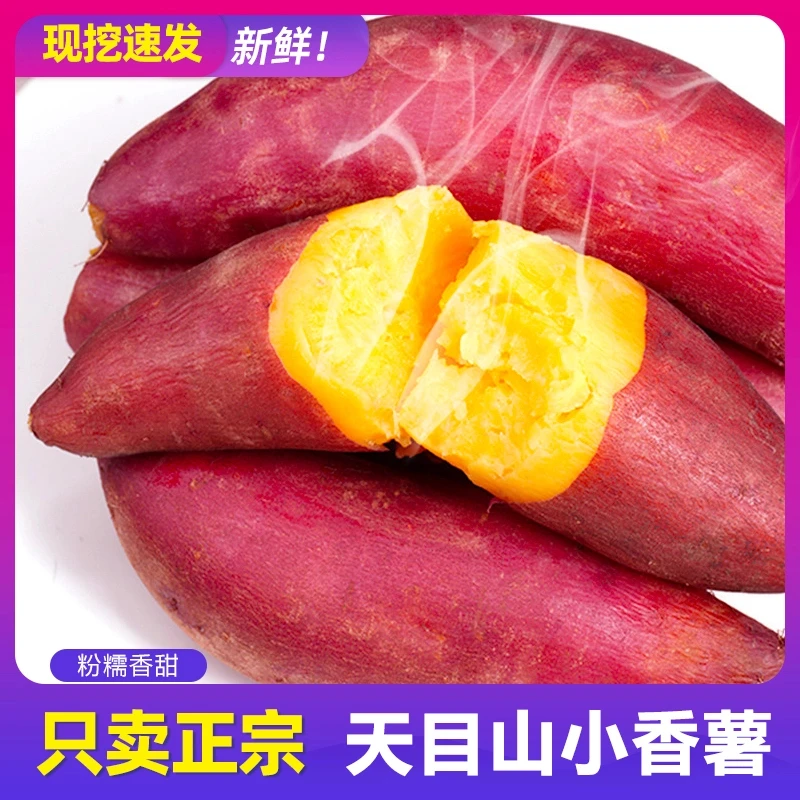 天目山小香薯正宗板栗红薯新鲜农家自种小番薯地瓜蜜薯粗粮主食