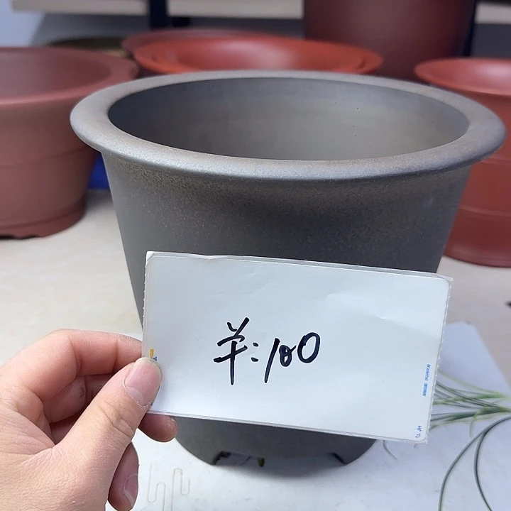 春秋花盆精品兰盆