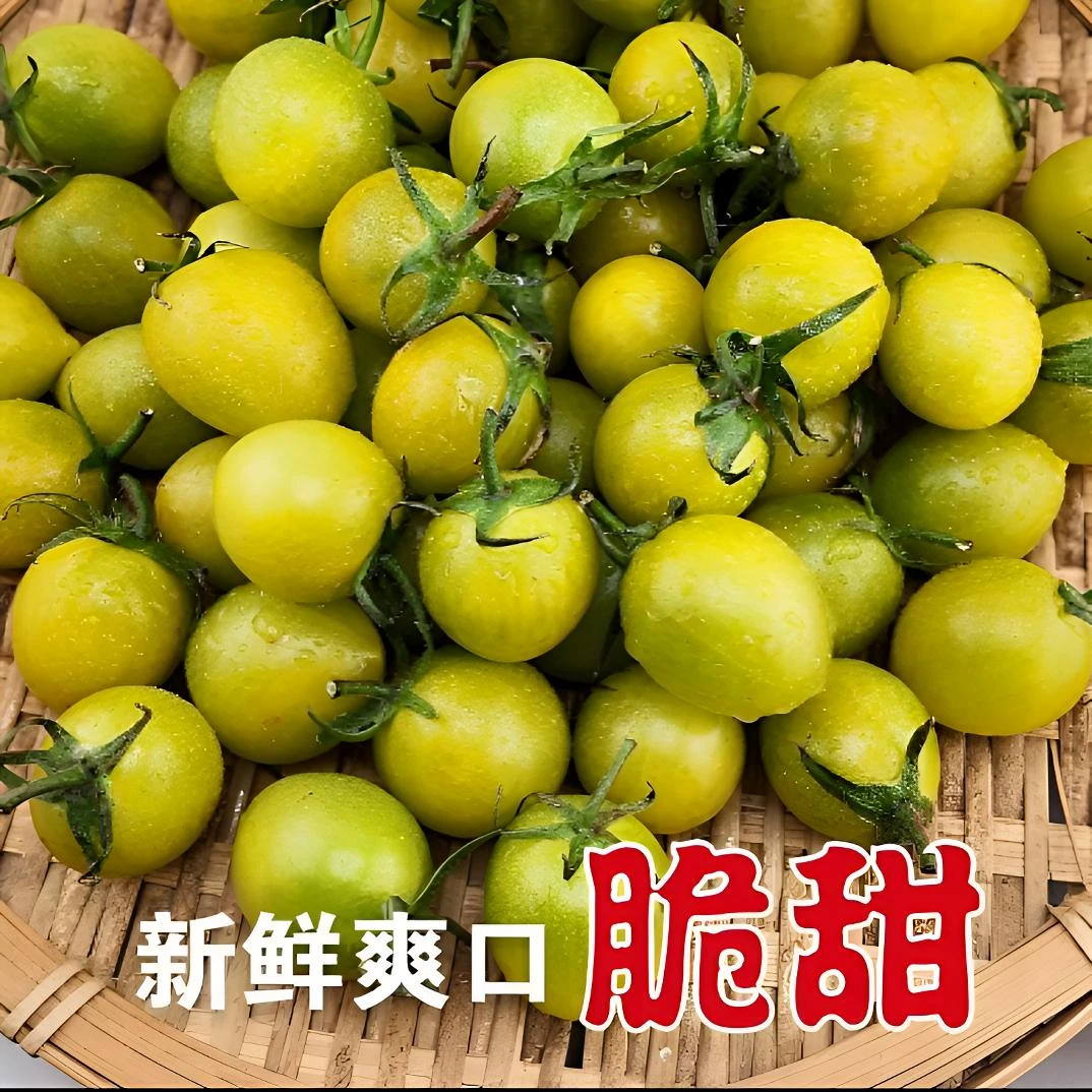 【顺丰包邮】绿色青甜小番茄 净重3斤 酸甜多汁