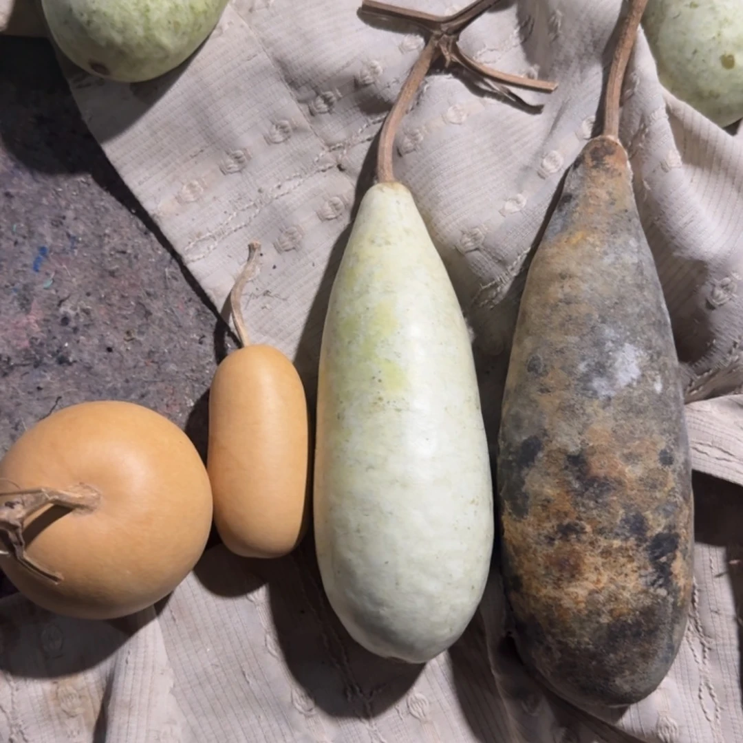 葫芦葫芦葫芦葫芦