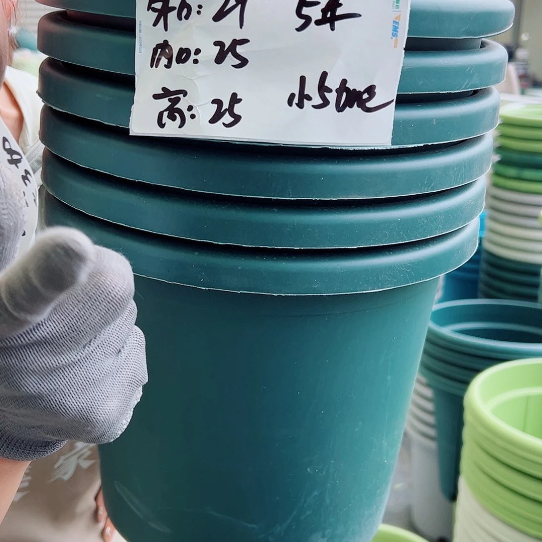 四季盆5#墨绿色6个无托