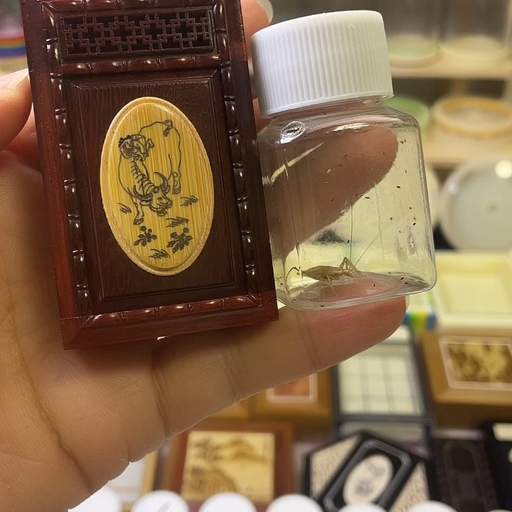 张圣林麻将快竹蛉盒带柬竹