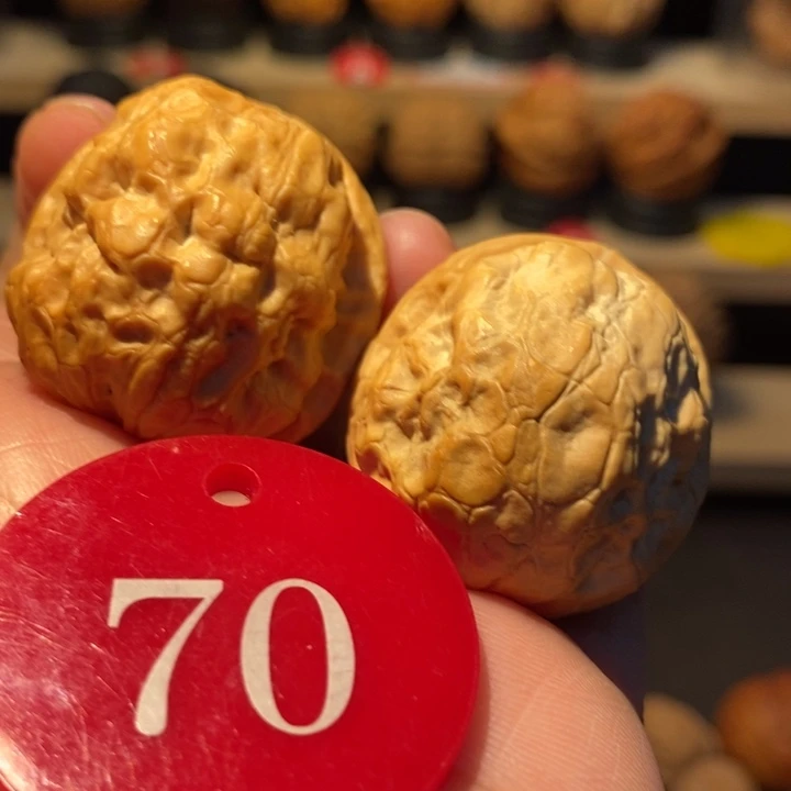 木质类荷叶金蟾疙瘩包34尺寸