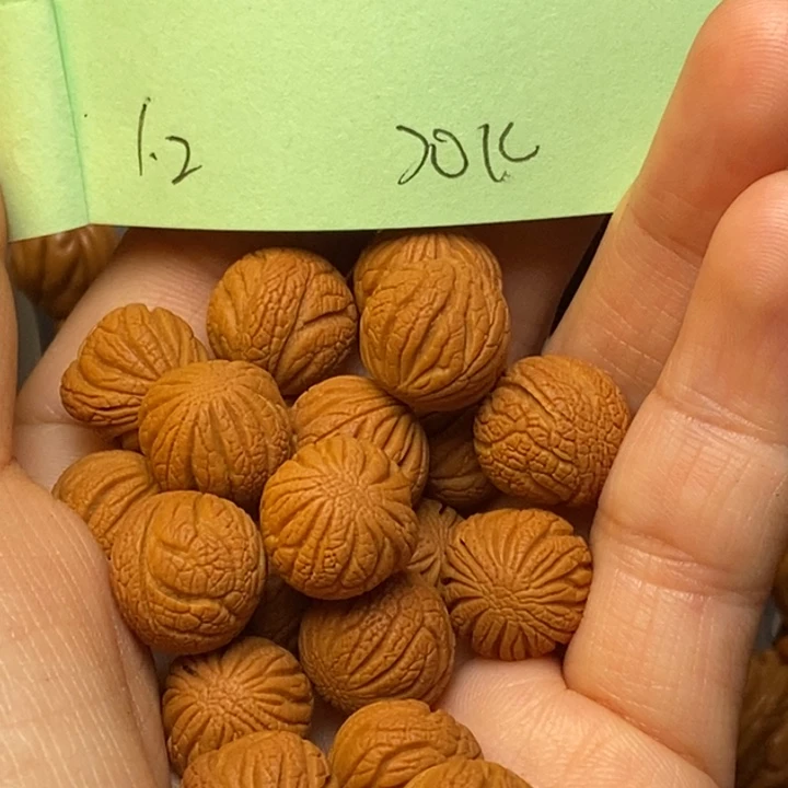 手串文玩核桃秦岭龙纹桃核12尺寸