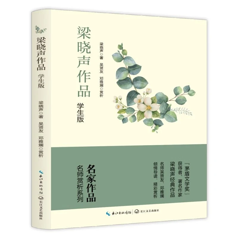 梁晓声作品集精选小学生四五六年级暑假必读正版书籍