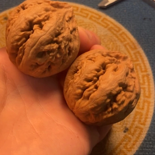 吊坠桃核全品霸王龙44