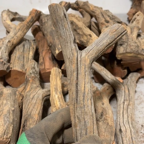 大果紫檀（缅甸花梨）保**良