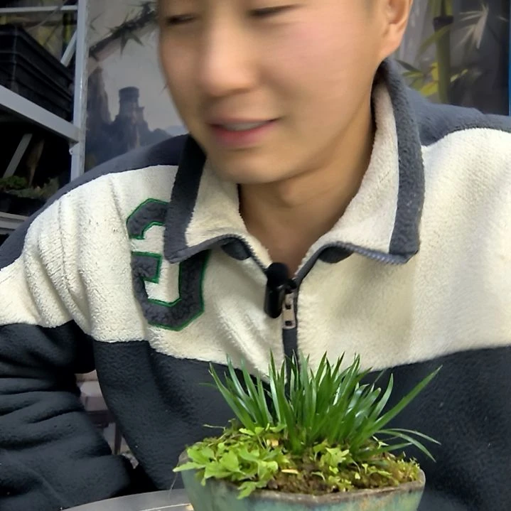 幼***生中青园艺一物一拍花37