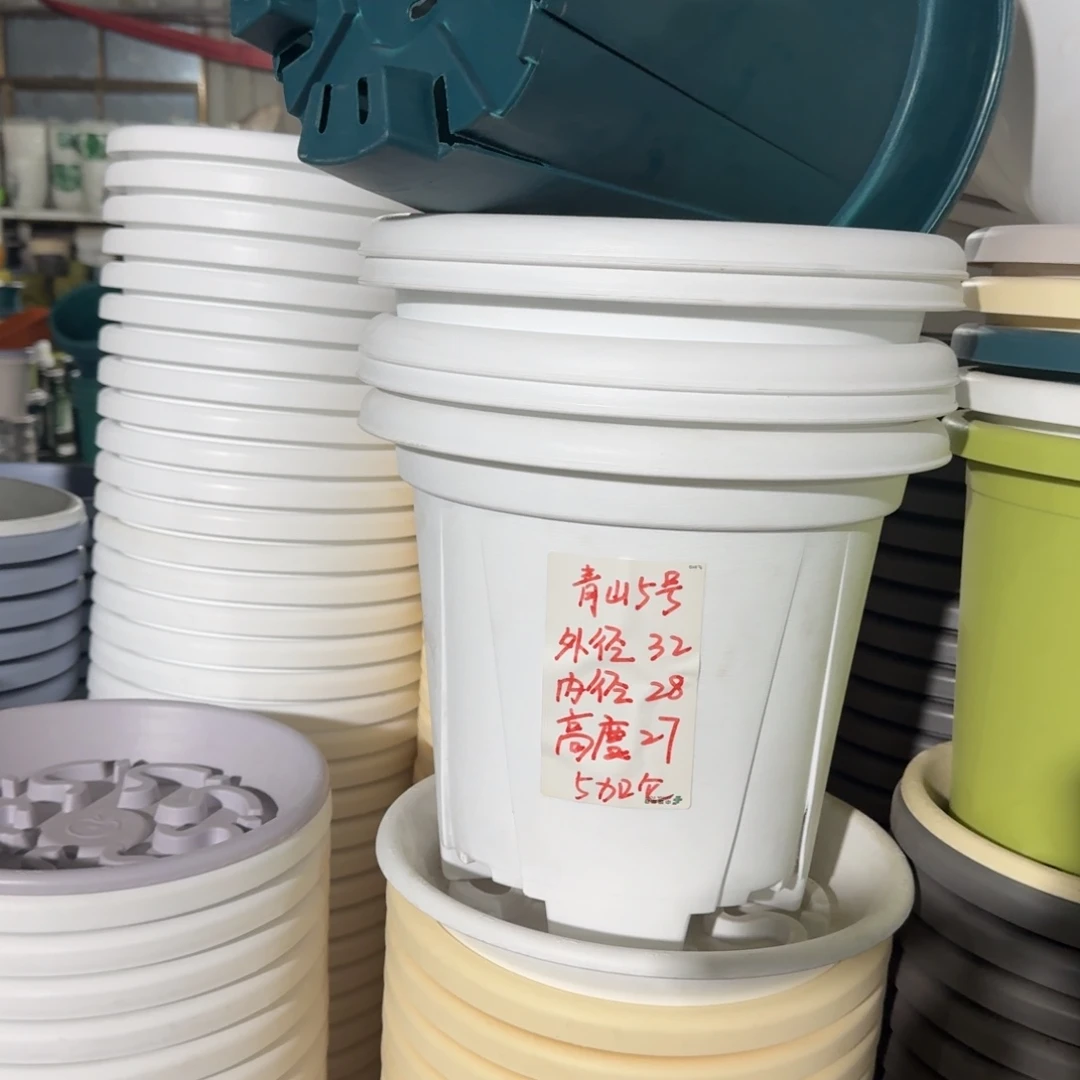 青山5#口径32无拖纯白5个