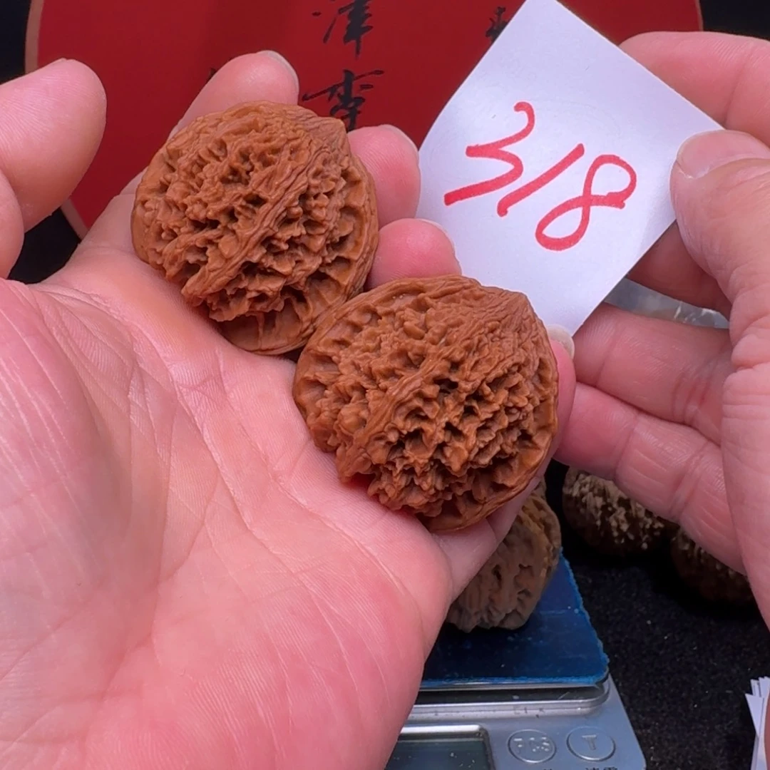 文玩核桃把件E****Z43满天星