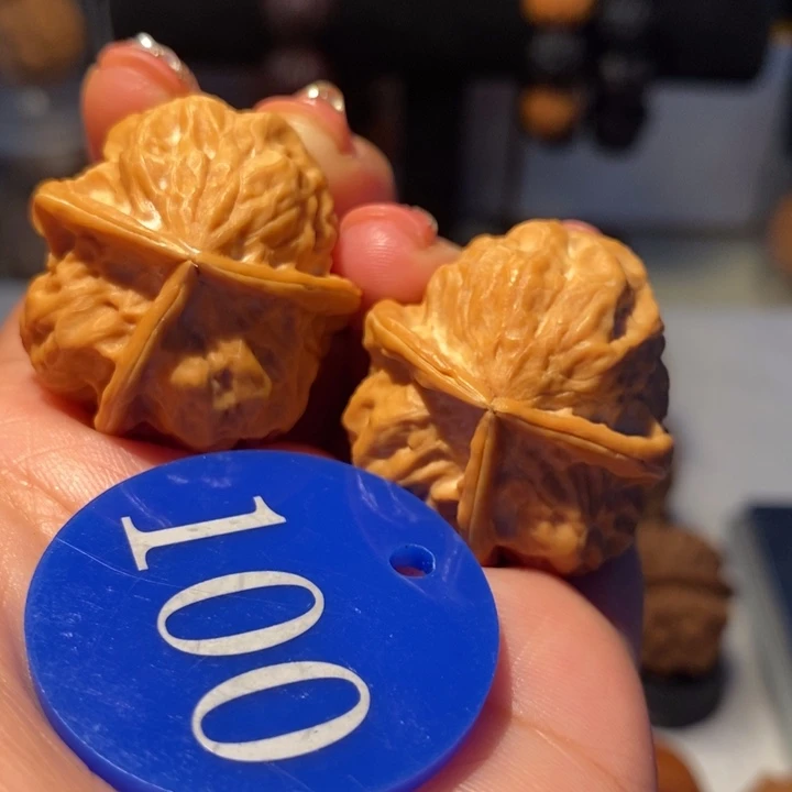 铁核桃龙骨三棱33尺寸