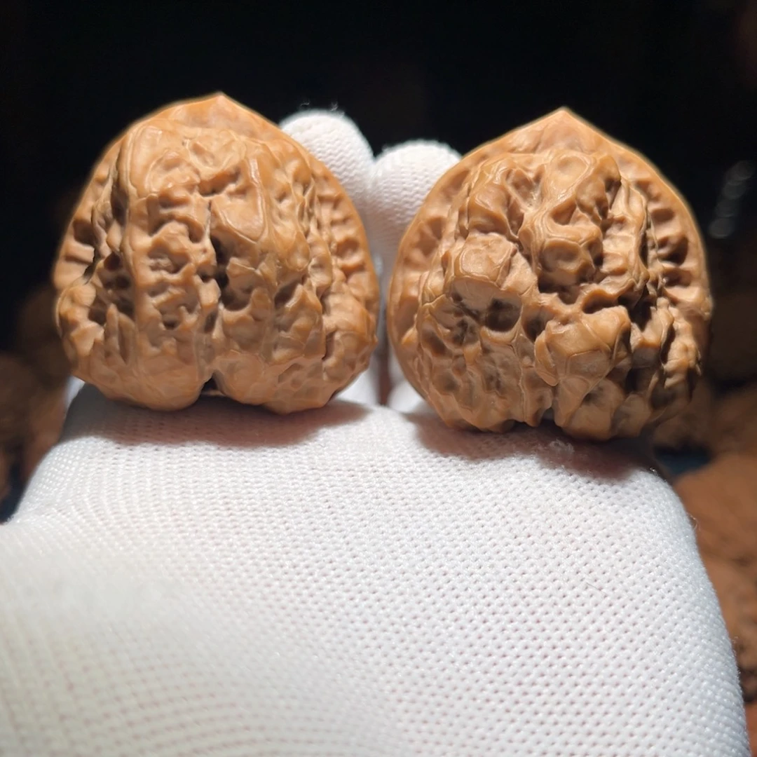 核桃45三角蛤蟆头